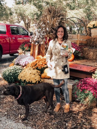 2C8E804D-5DB8-4F0B-B04C-AFA388C98CE6